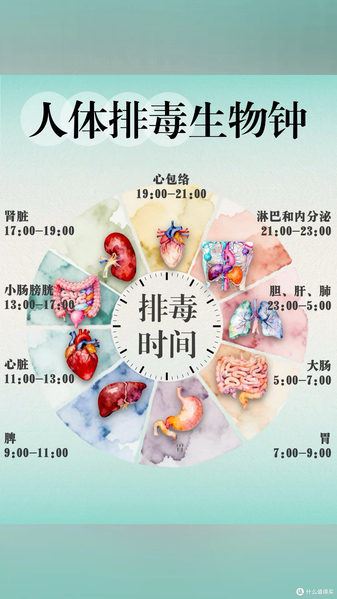 25+油皮男生压力大皮质醇与出油到松垮,抗压力性衰老的护肤思路