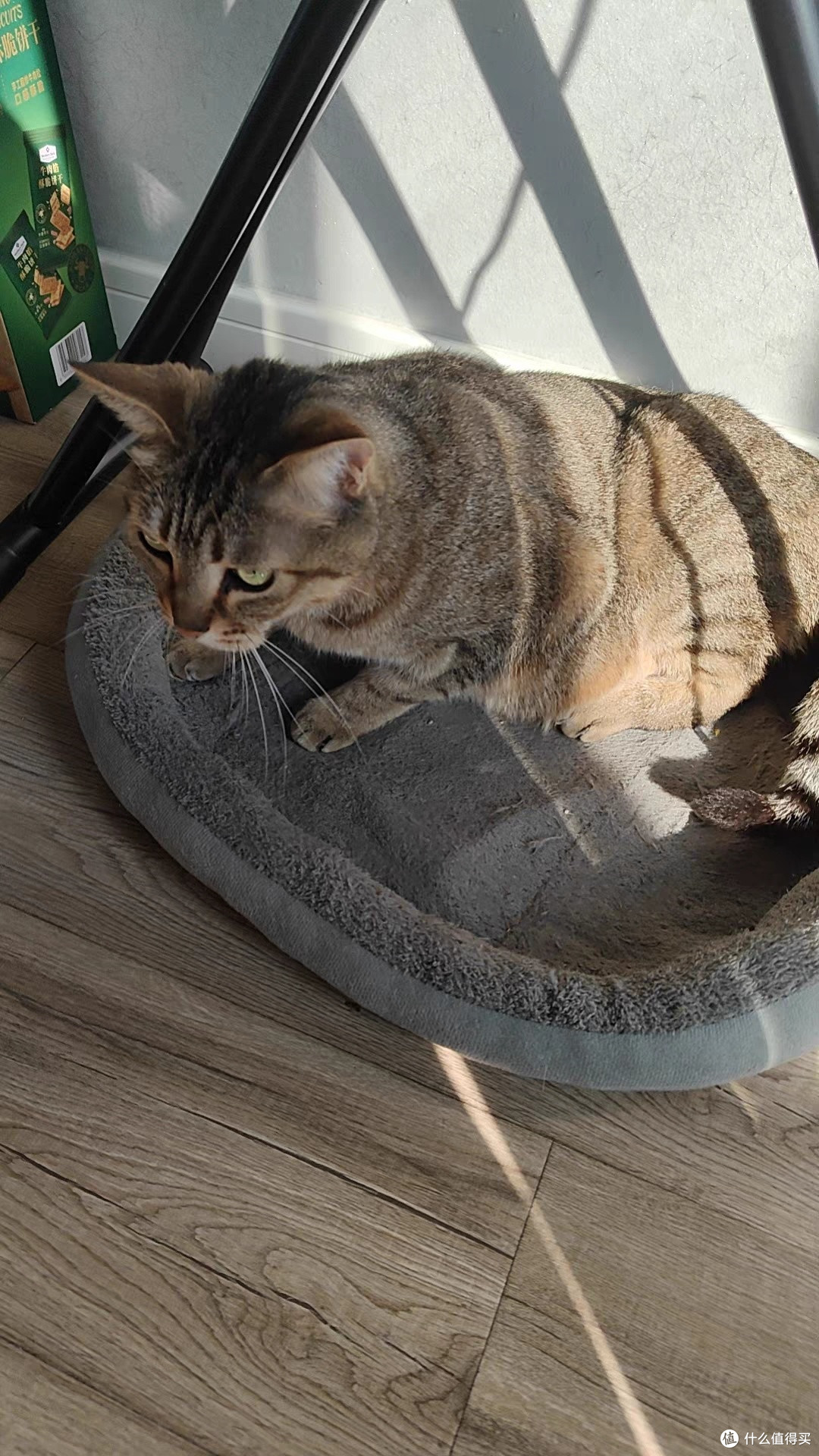 UG优基鸡肉味成猫粮护肠营养