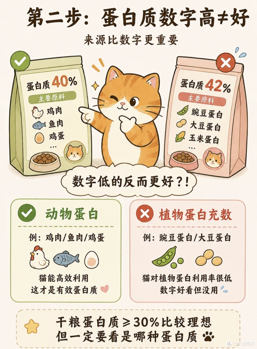 被问爆的猫粮选购攻略|4年养猫人的良心分享