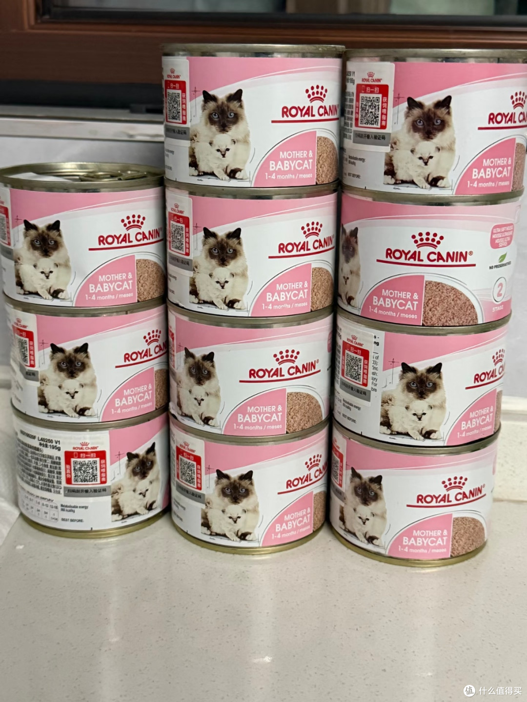 幼猫干饭神器!皇家奶糕罐我能回购一辈子