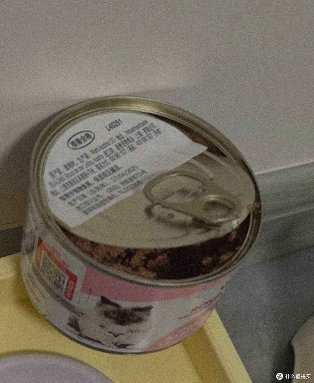 幼猫干饭神器!皇家奶糕罐我能回购一辈子