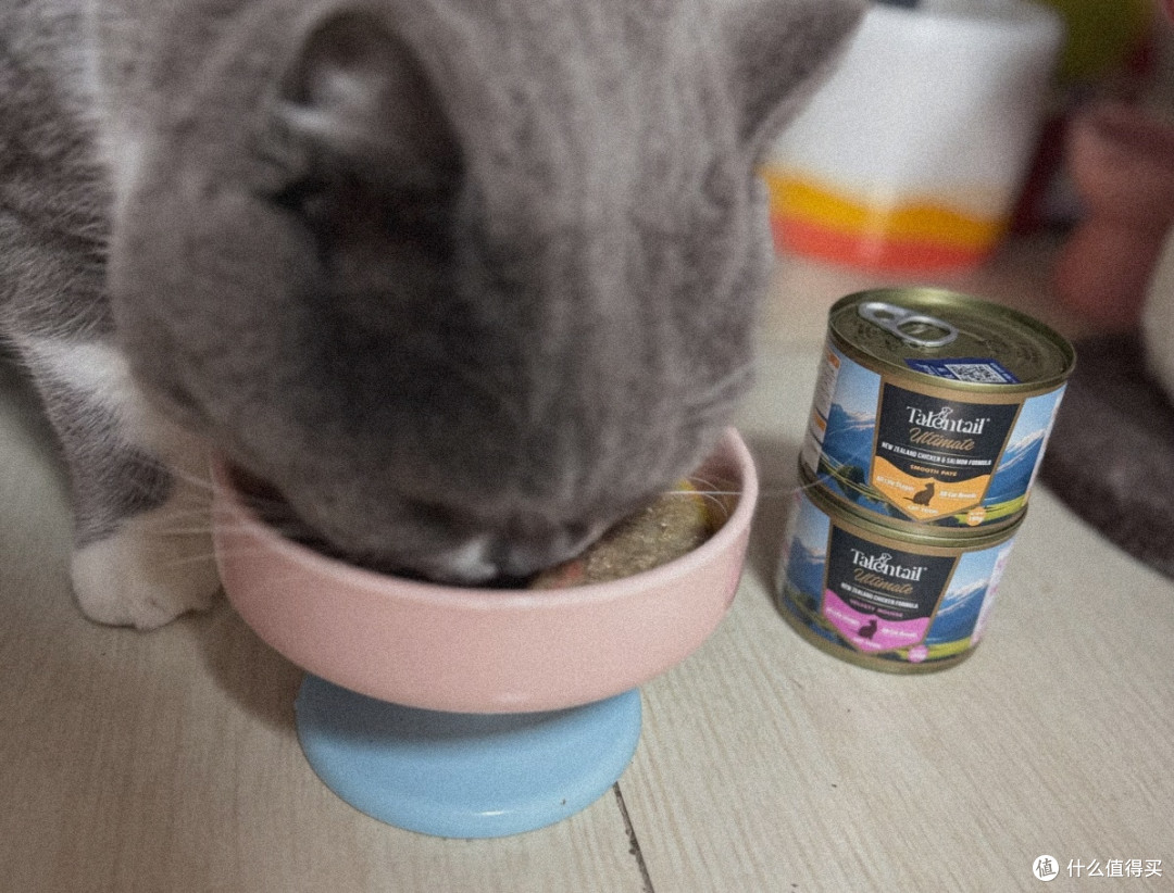 极智新西兰牛肉罐,挑食猫也光盘的宝藏罐