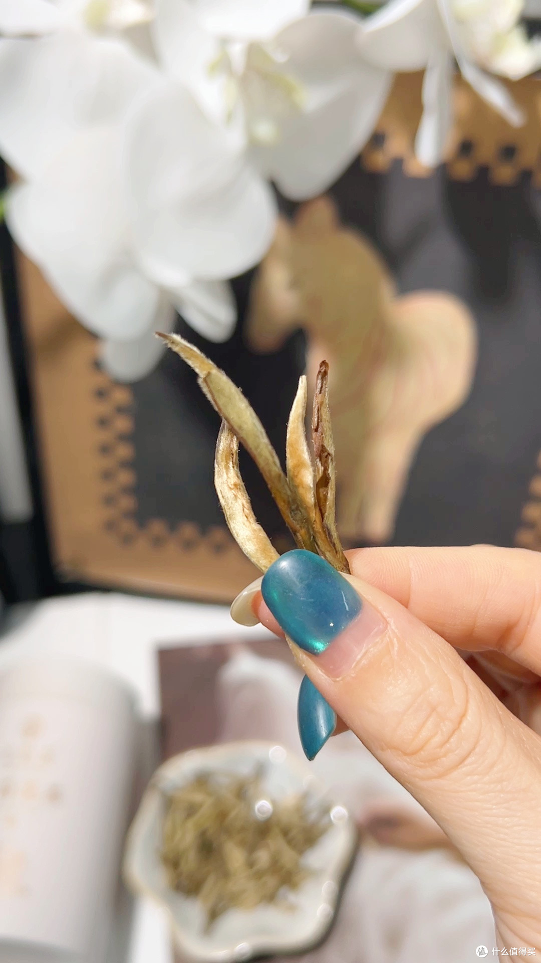 一口喝到横县的夏天,这款茉莉白毫太鲜灵了