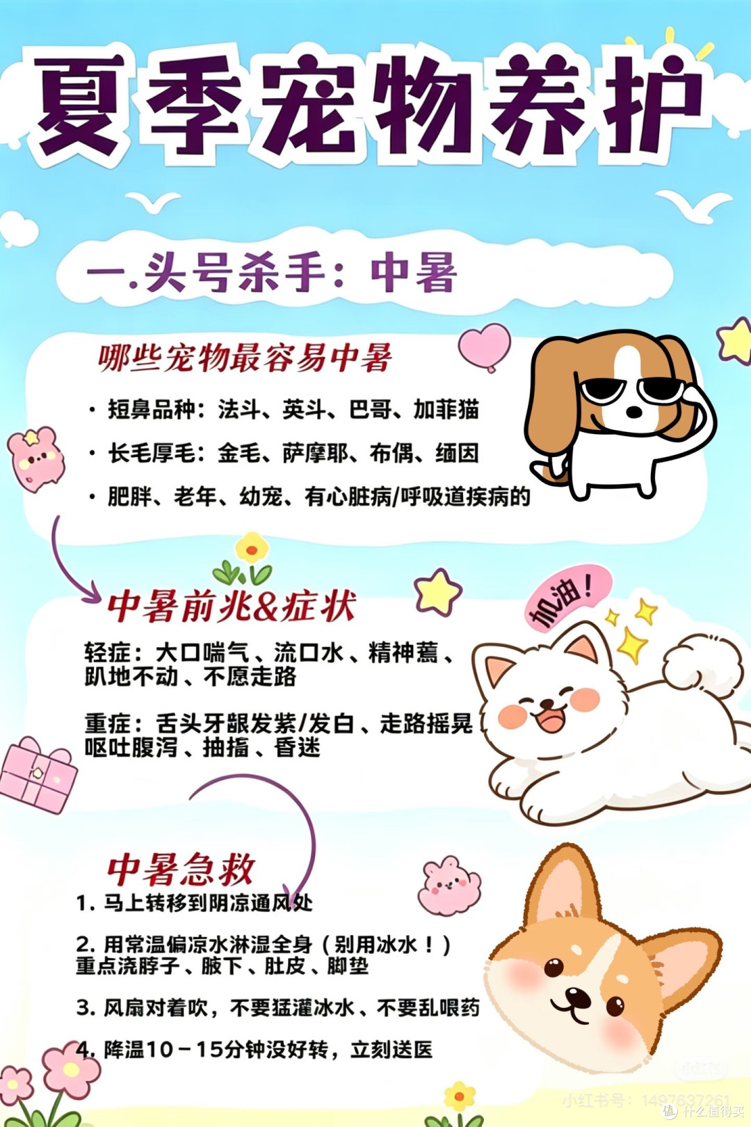 猫粮选购指南：避开包装陷阱
