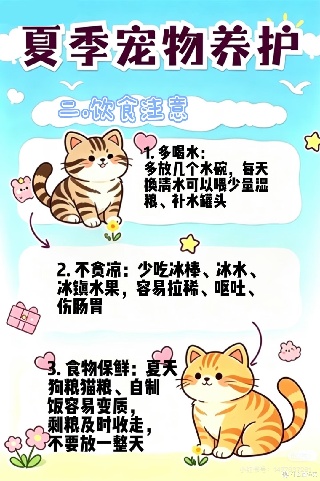 猫粮选购指南:避开包装陷阱