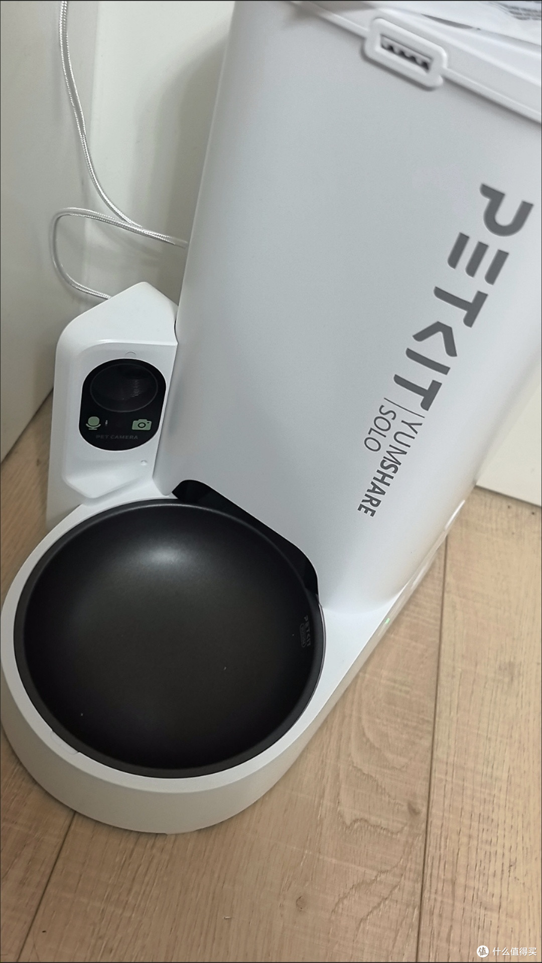 新手养猫必备的五大实用工具