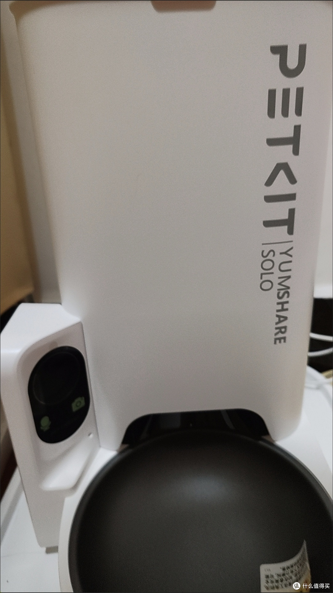 新手养猫必备的五大实用工具