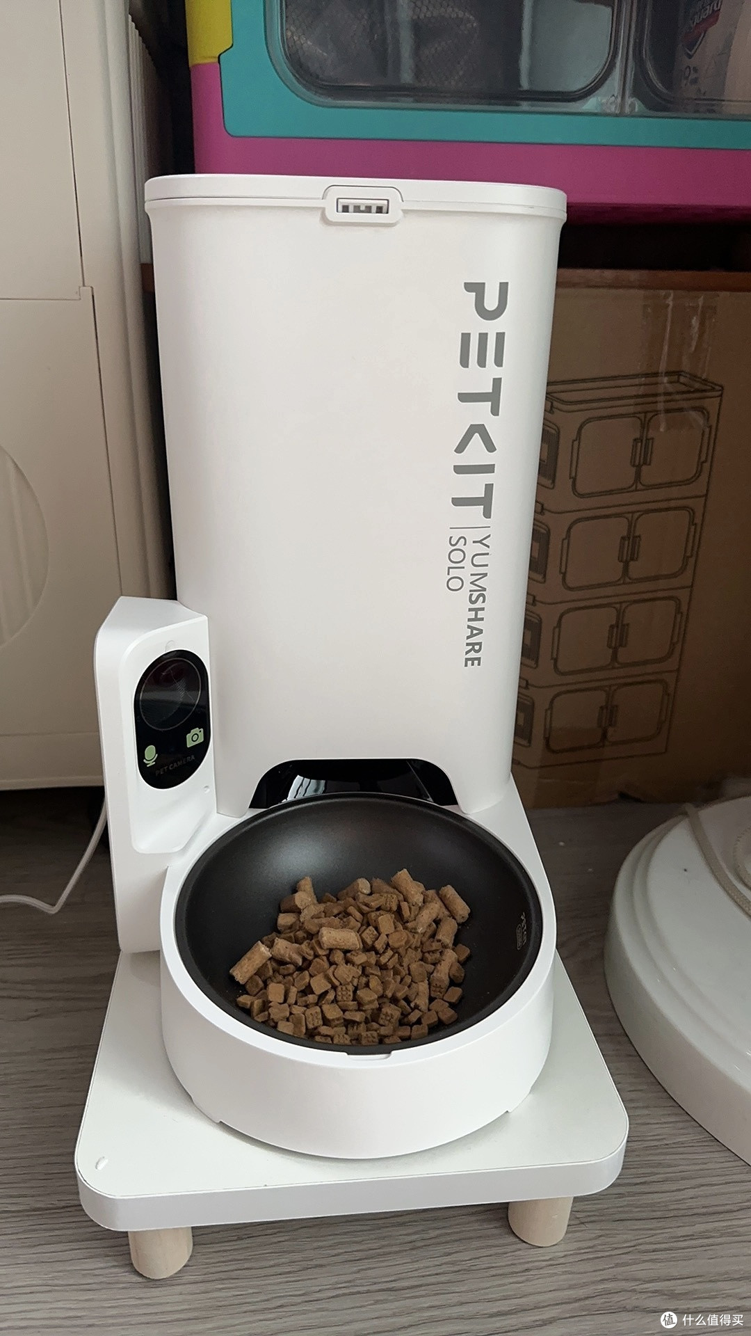 新手养猫必备的五大实用工具