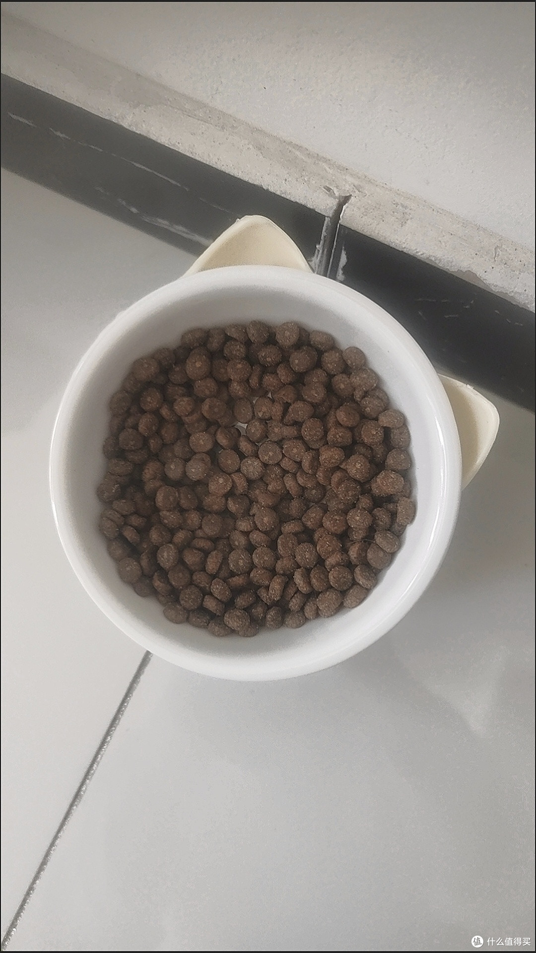 科学囤货,养猫更省心