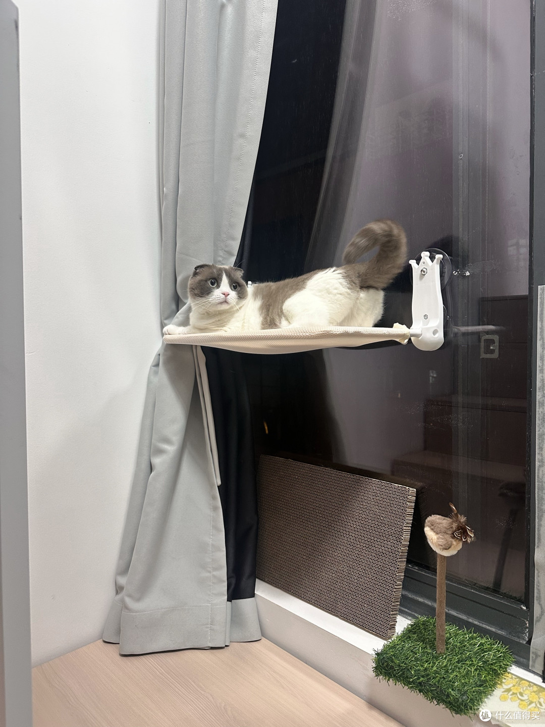 三款平价猫窝春夏秋冬实测