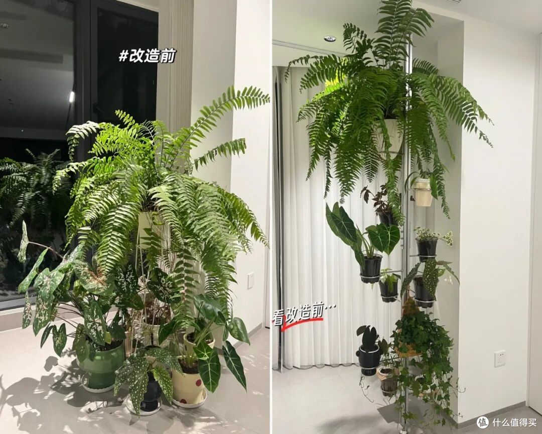 若不差几十块，这6样家居好物，都安排上，让家干净如新