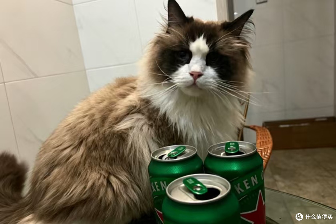 平价优质猫罐首选,挑食猫咪也乖乖干饭