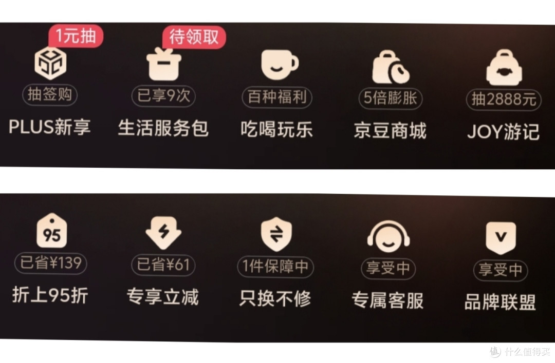 plus 权益预览