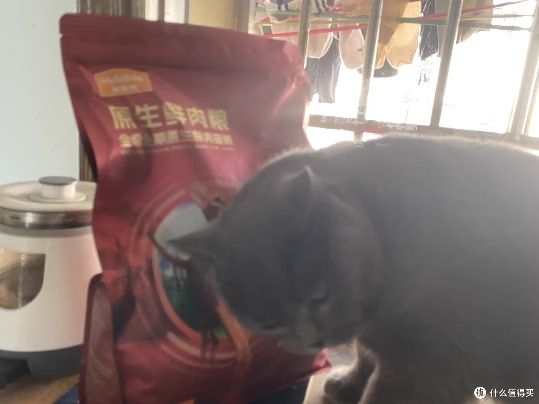 终于找到一款不把猫吃成“油下巴”的鲜肉粮