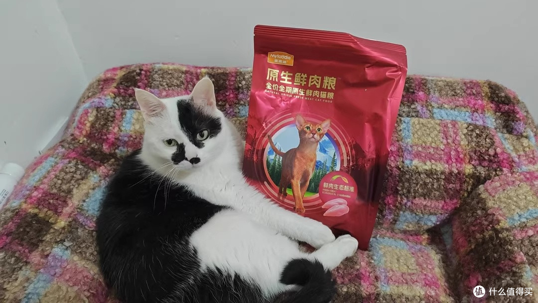 把挑剔猫的饭碗换成了麦富迪原生鲜肉粮:它肯吃,肠胃也没闹