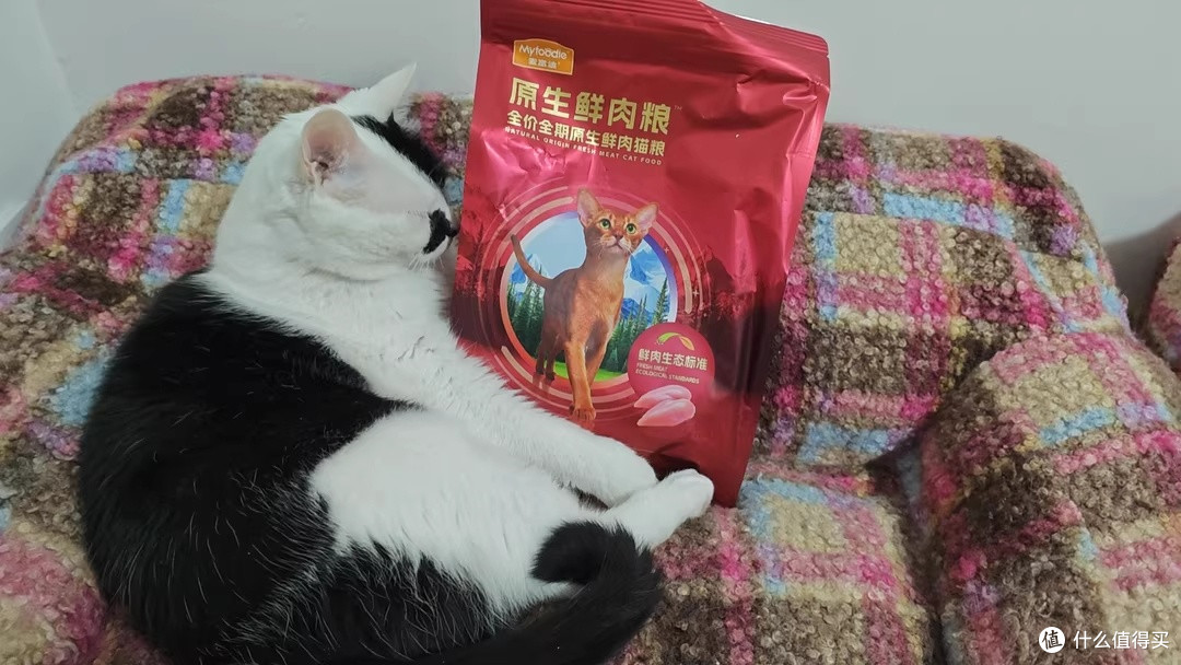 把挑剔猫的饭碗换成了麦富迪原生鲜肉粮：它肯吃，肠胃也没闹