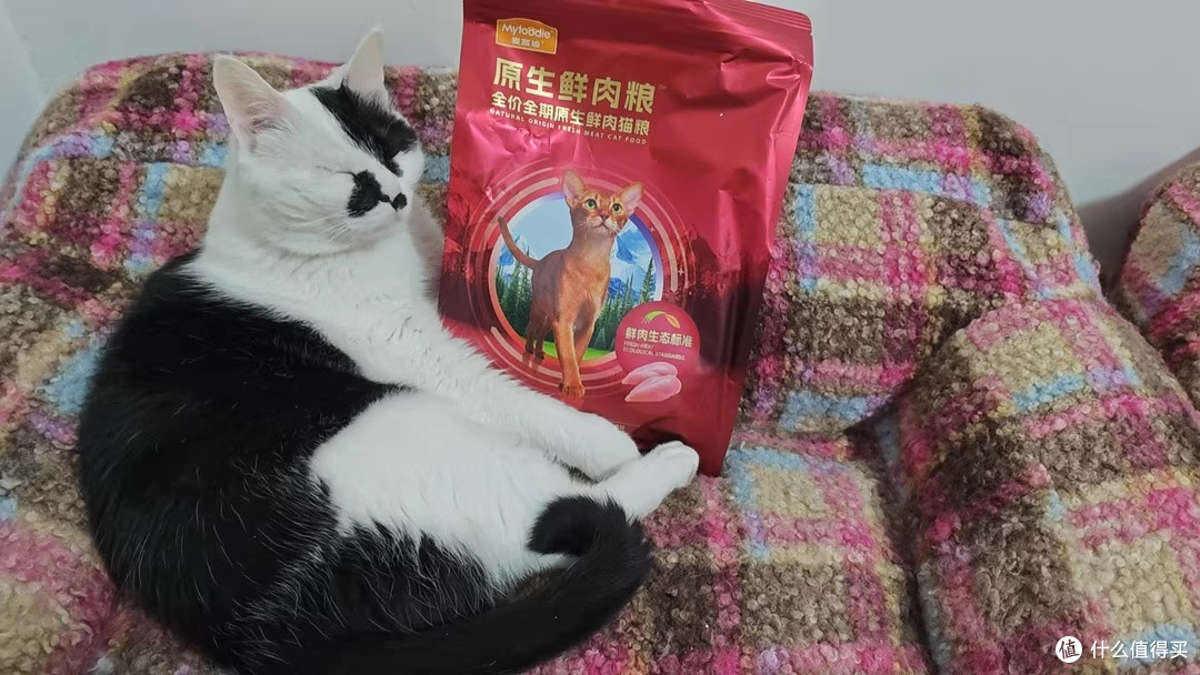 把挑剔猫的饭碗换成了麦富迪原生鲜肉粮:它肯吃,肠胃也没闹