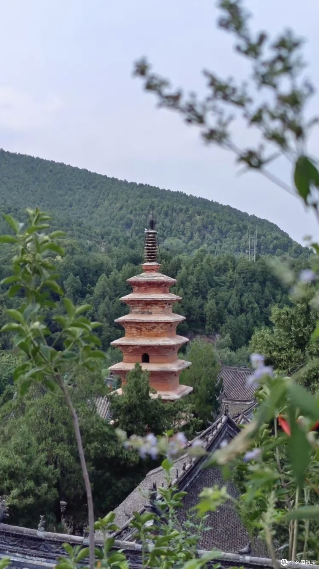 别挤嵩山少林寺了!风穴寺才是河南古建界的隐藏天花板