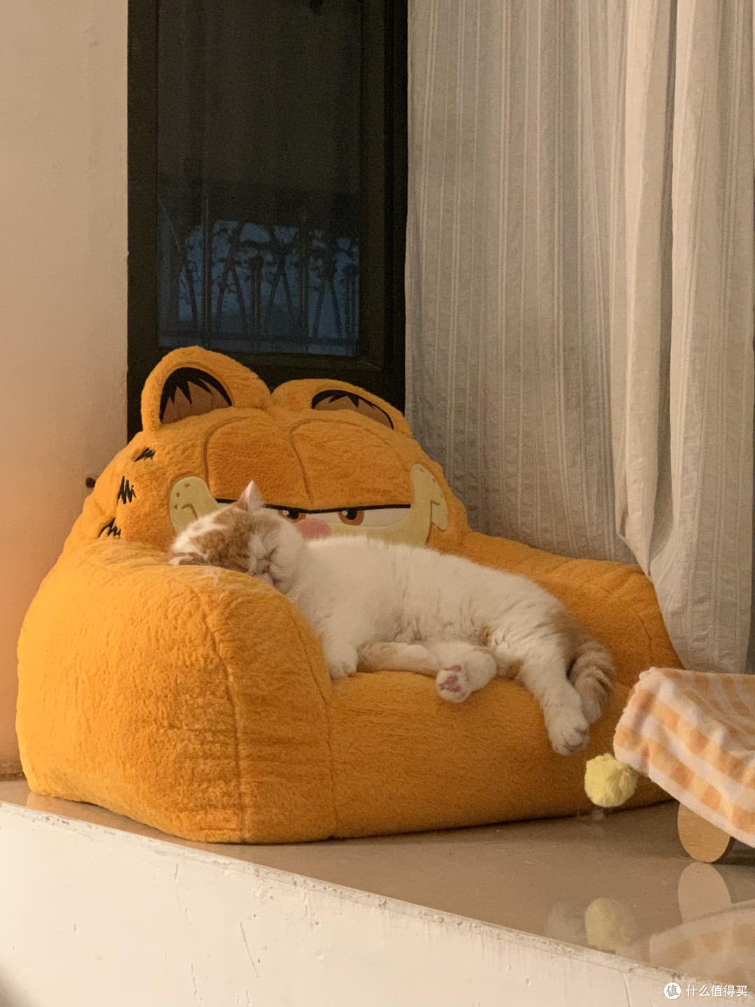 专属餐具守护猫咪健康