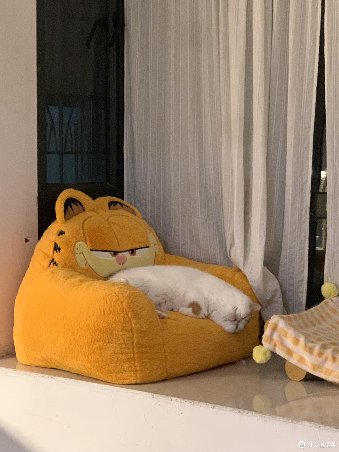 专属餐具守护猫咪健康