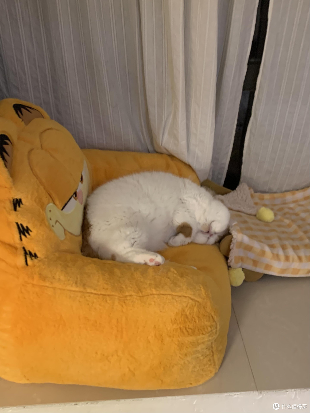 专属餐具守护猫咪健康