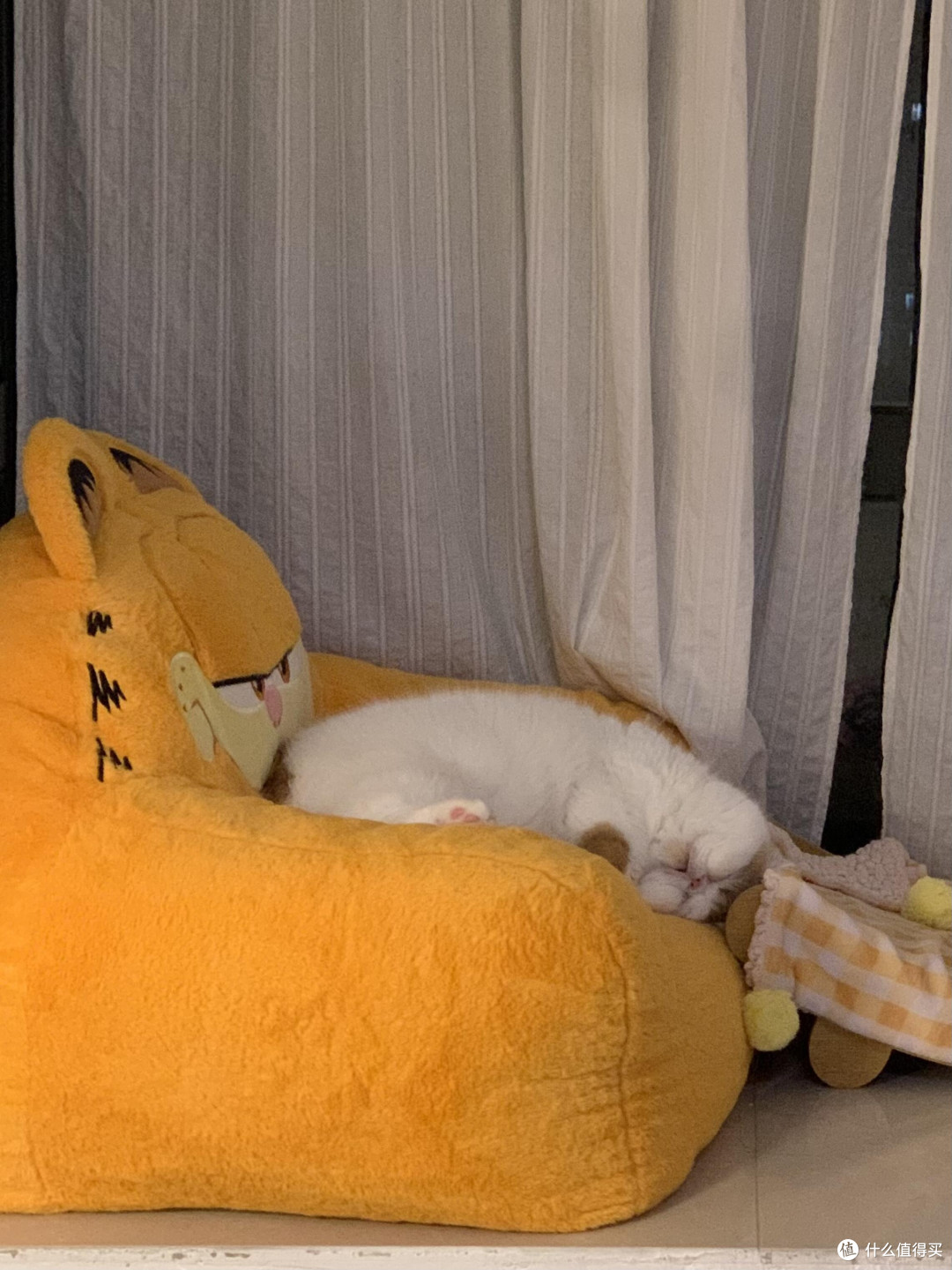 专属餐具守护猫咪健康