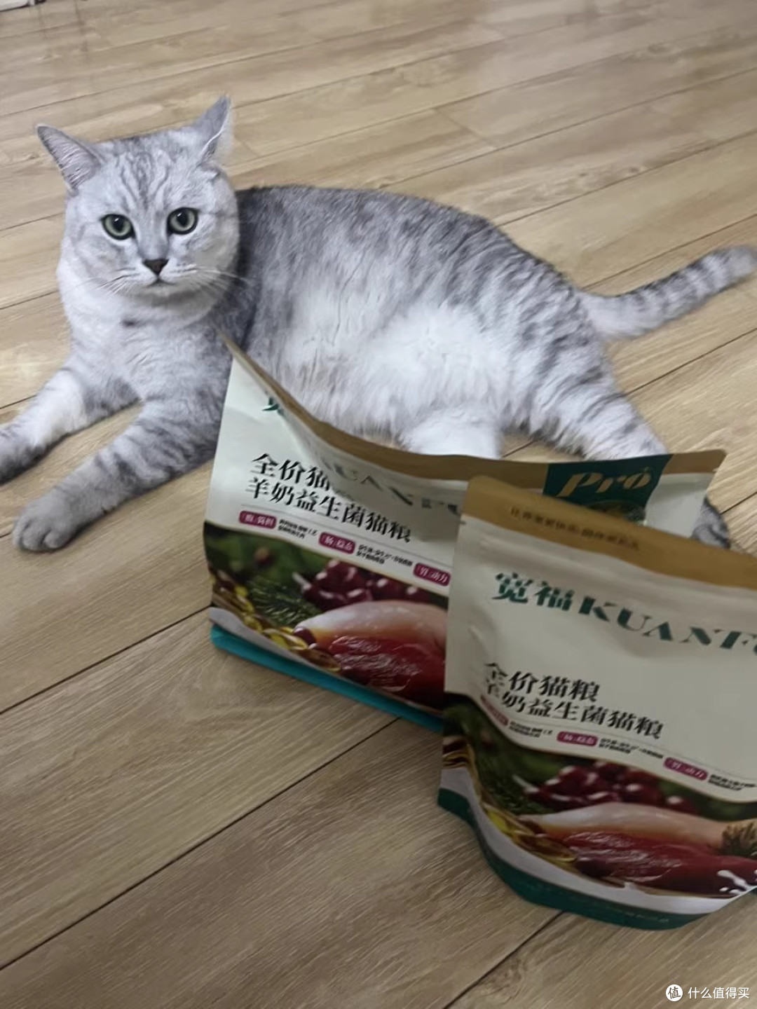 把玻璃胃养稳的那袋粮:我和宽福羊奶益生菌猫粮