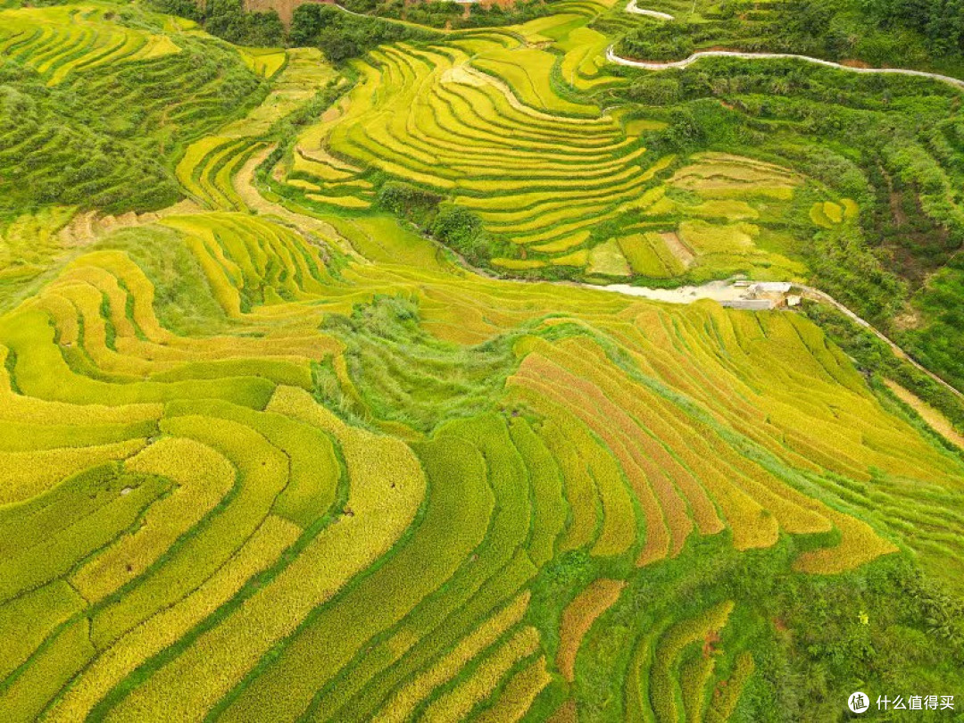 2026暑期早到店 哪家提前入住政策更友好