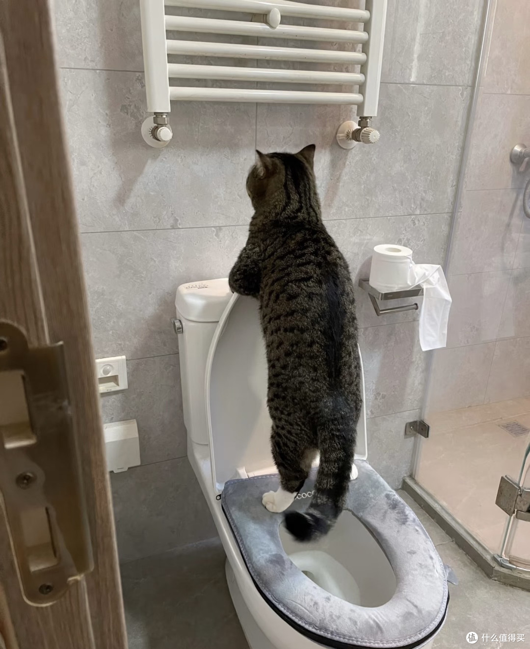 勤快猫咪饼师傅的一天