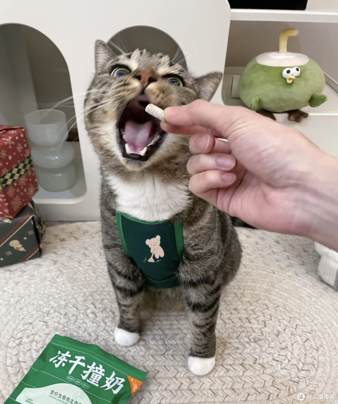 勤快猫咪饼师傅的一天