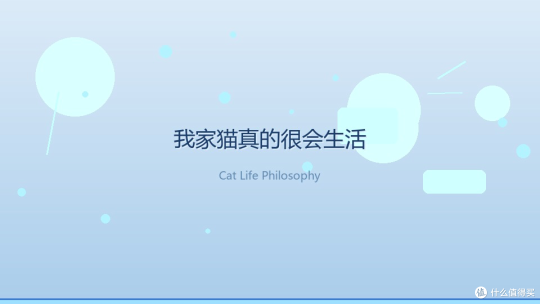 我家猫比我会休息：一位「躺平导师」的睡前动线