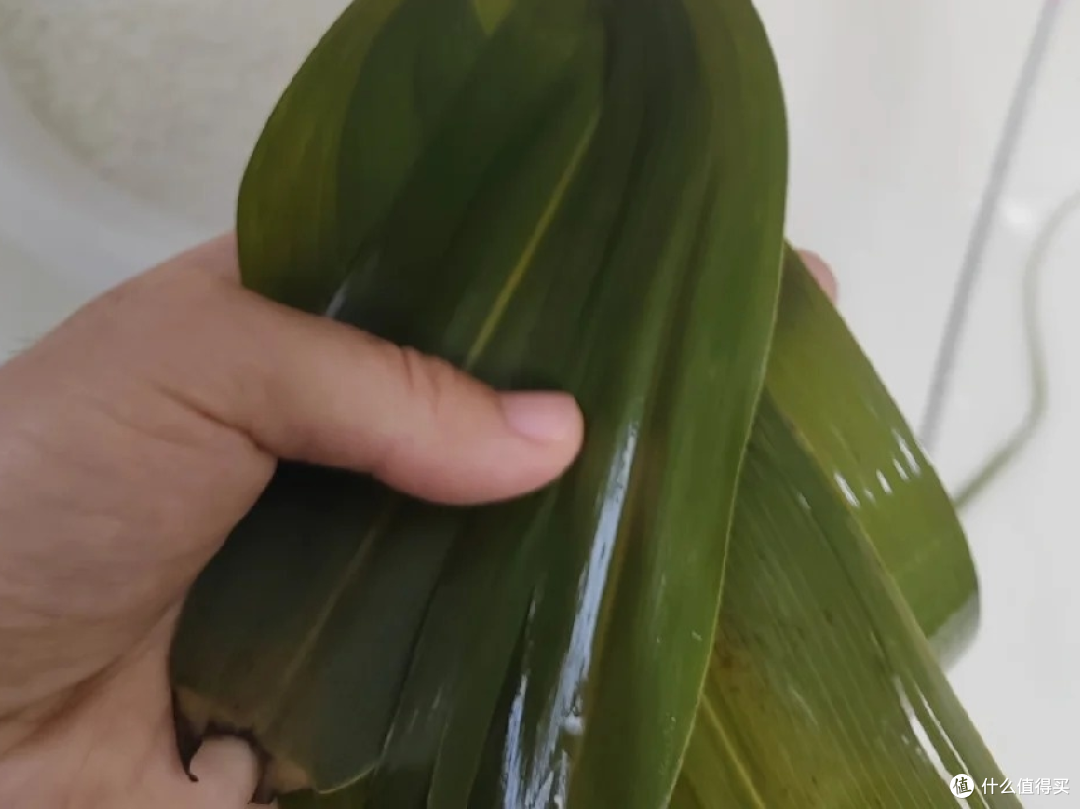 第一次包粽子就成功!新手零失败教程
