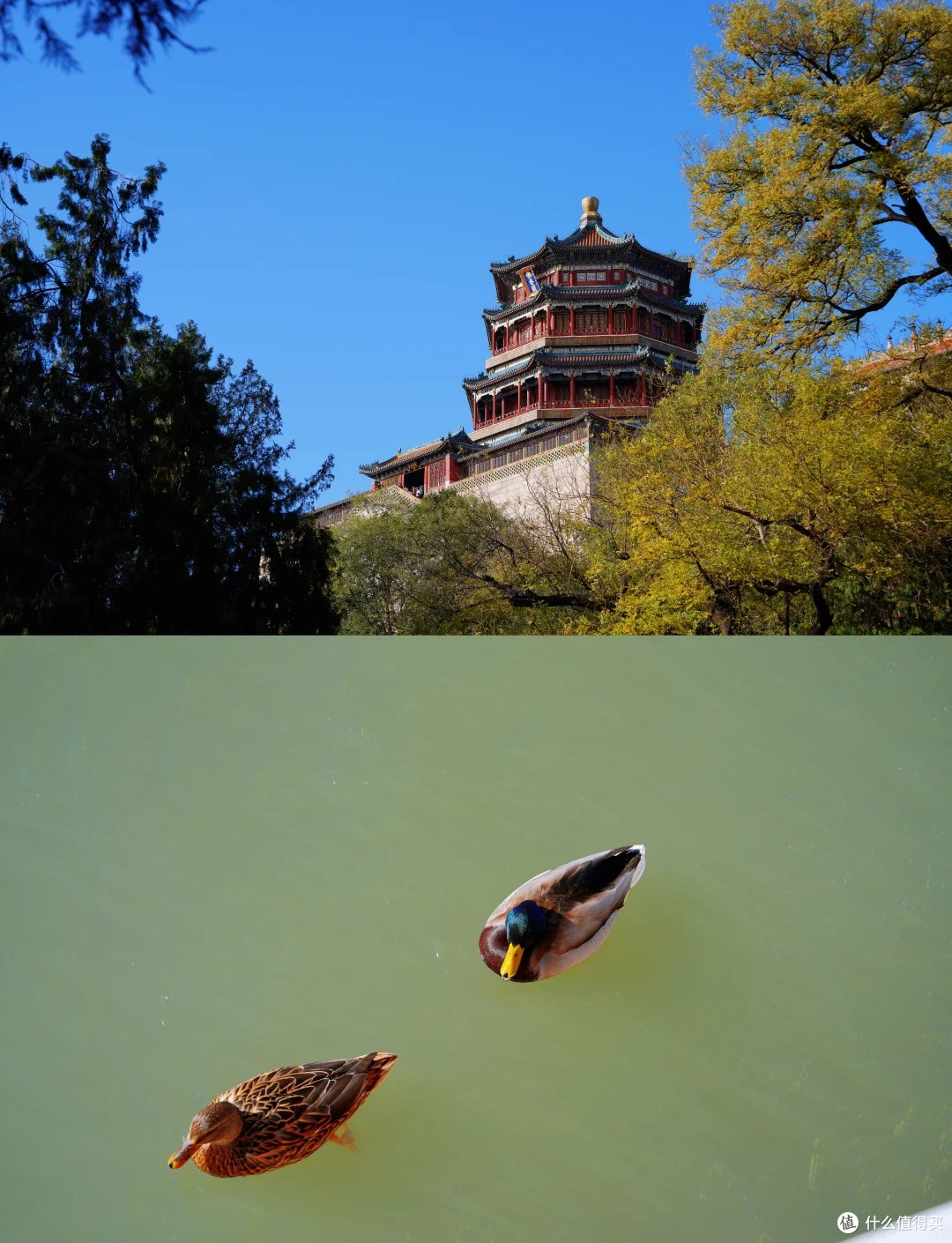 山水相依，古建连绵的颐和园