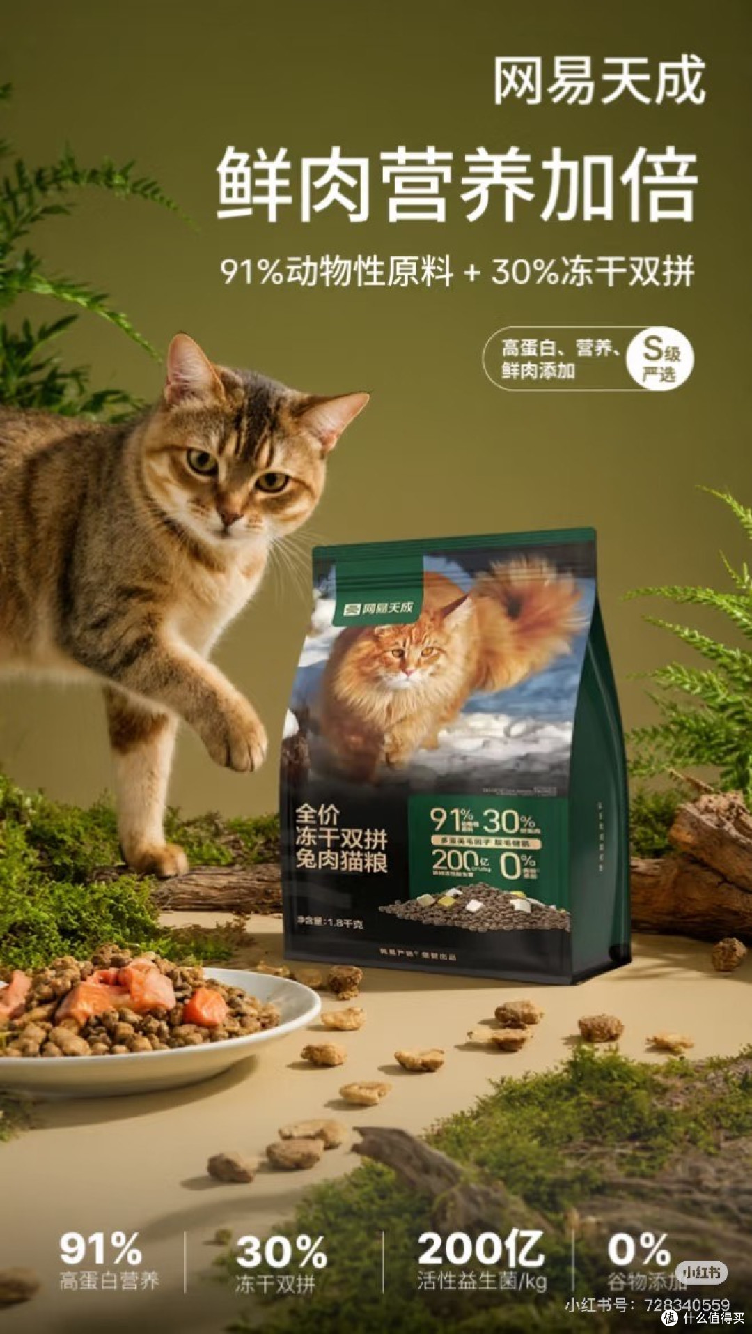 618囤猫粮猫砂指南