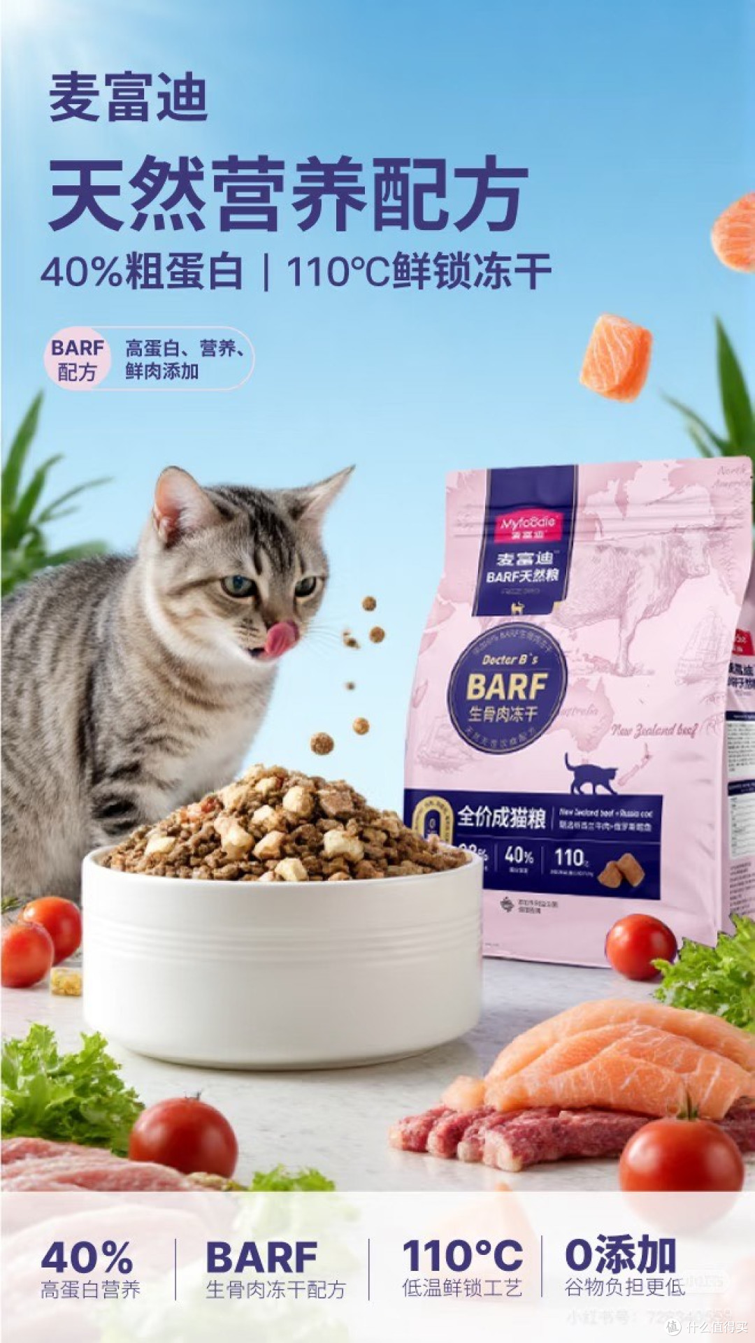 618囤猫粮猫砂指南