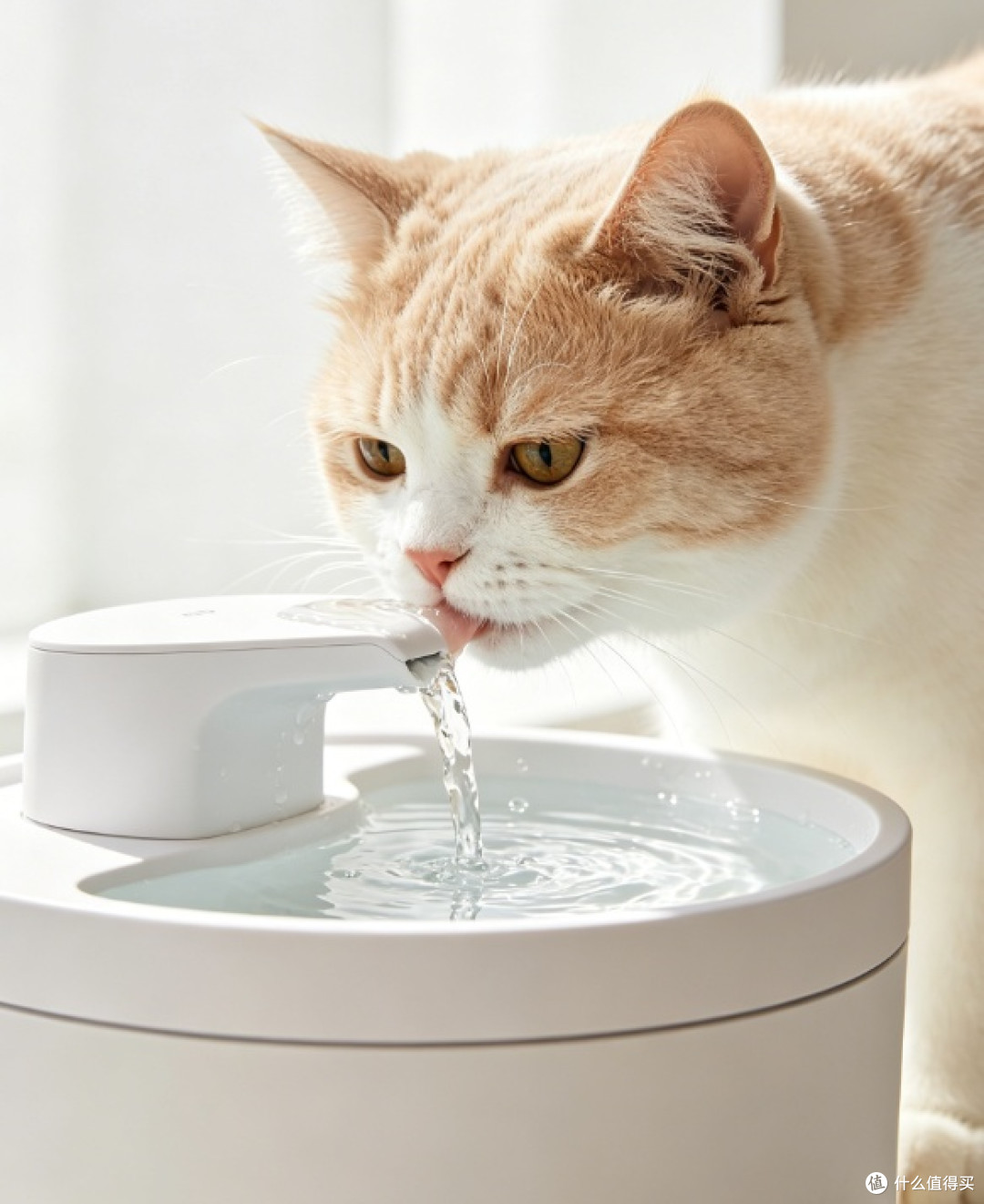 猫咪循环流水饮水器推荐