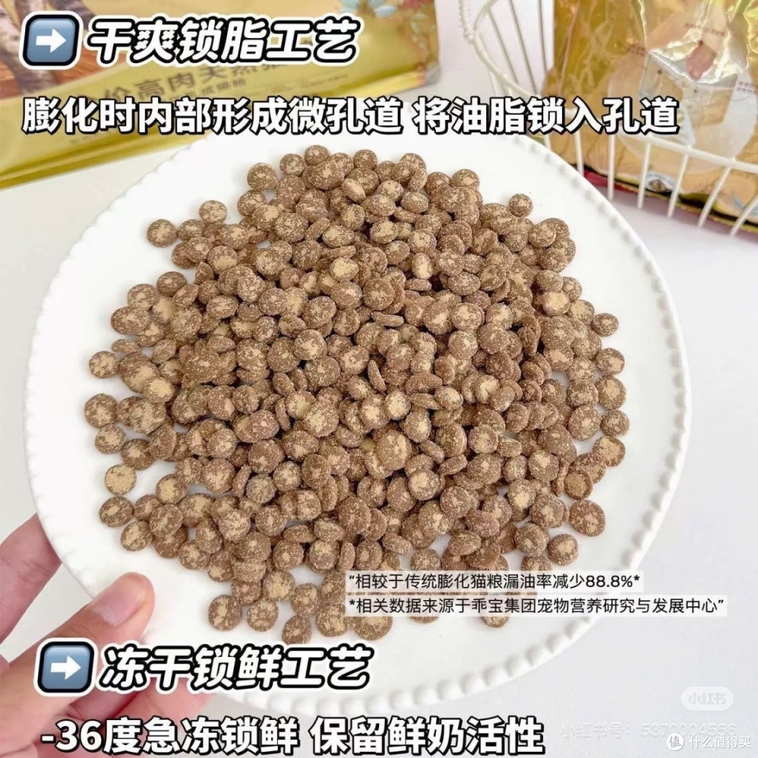 弗列加特猫粮储存与喂养指南