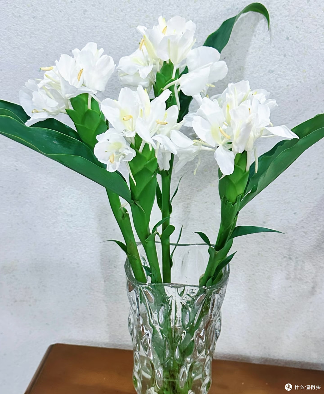 夏天就养5款“爆花王”，不用费心管，满屋都是高级香
