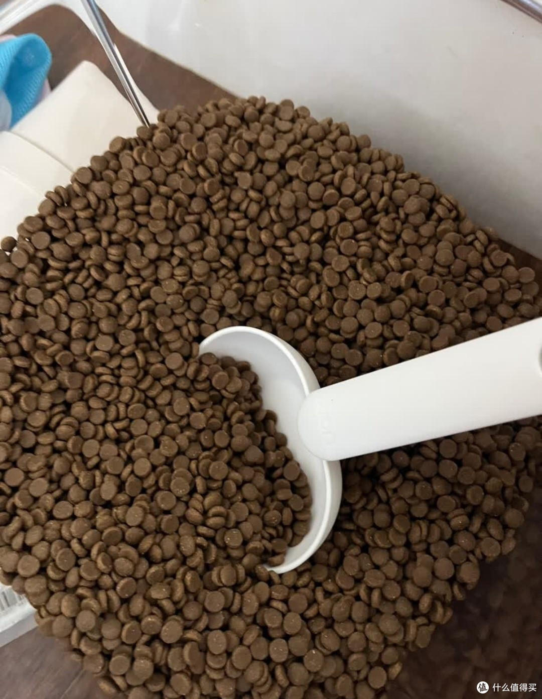 无限回购!我家猫咪超爱的诚实一口P40猫粮