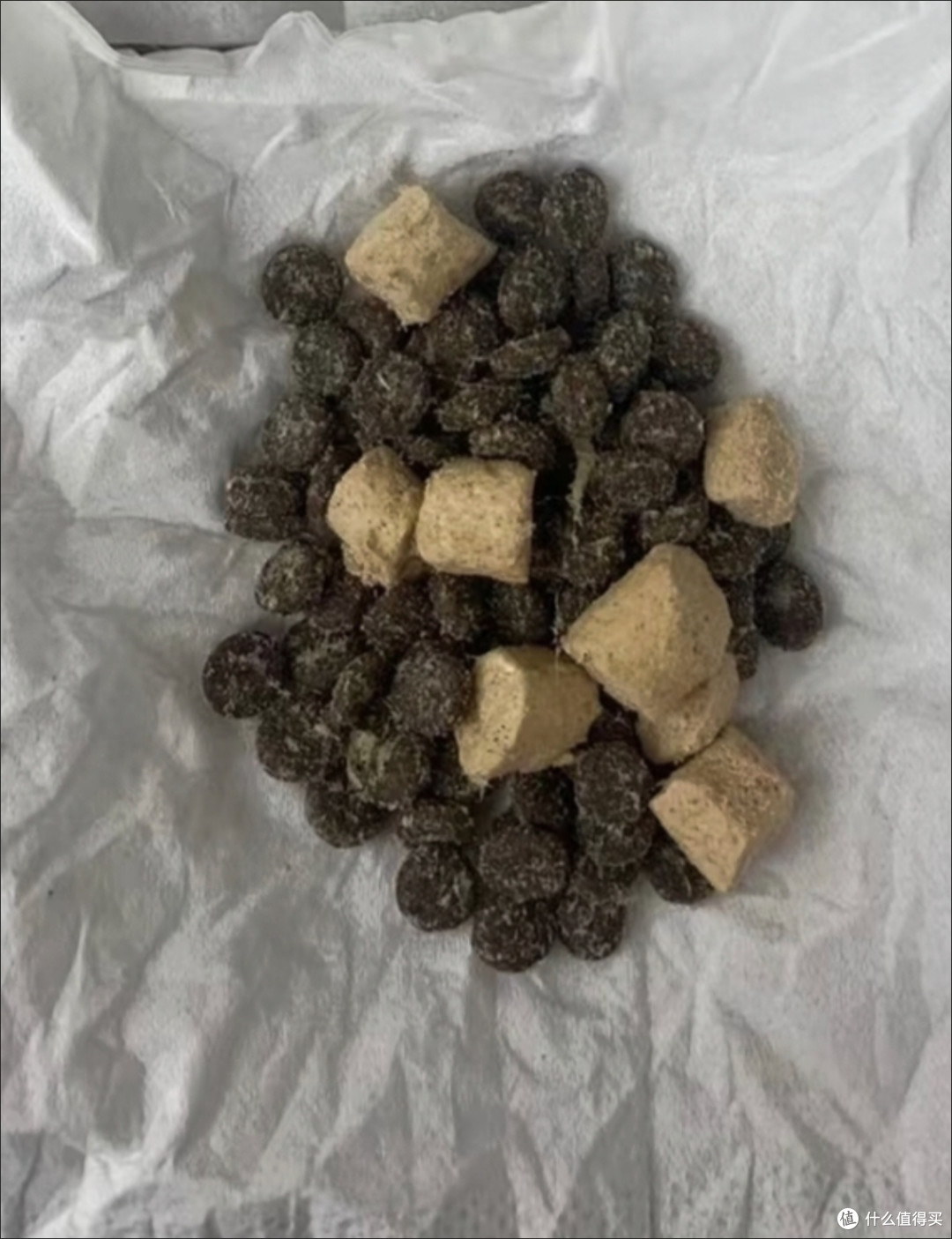 澳朗鲜肉冻干猫粮体验：多肉多鱼加持，从幼猫到成猫的营养盛宴