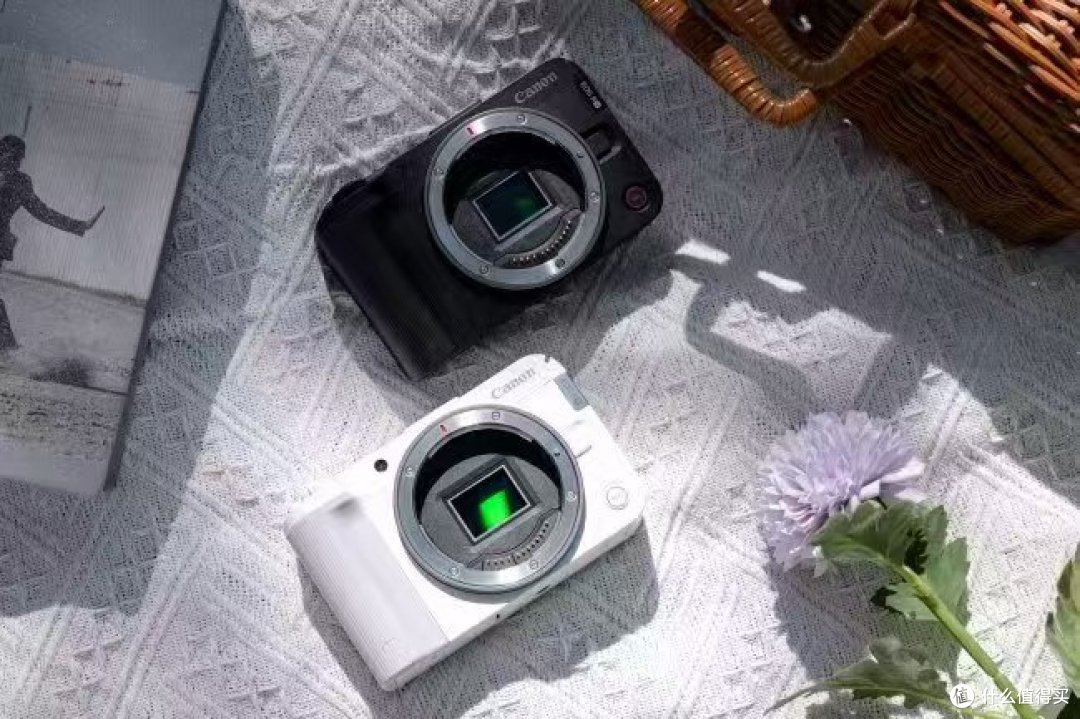 2026年微单权威推荐:拍视频、Vlog、直播,方便携带,画质高