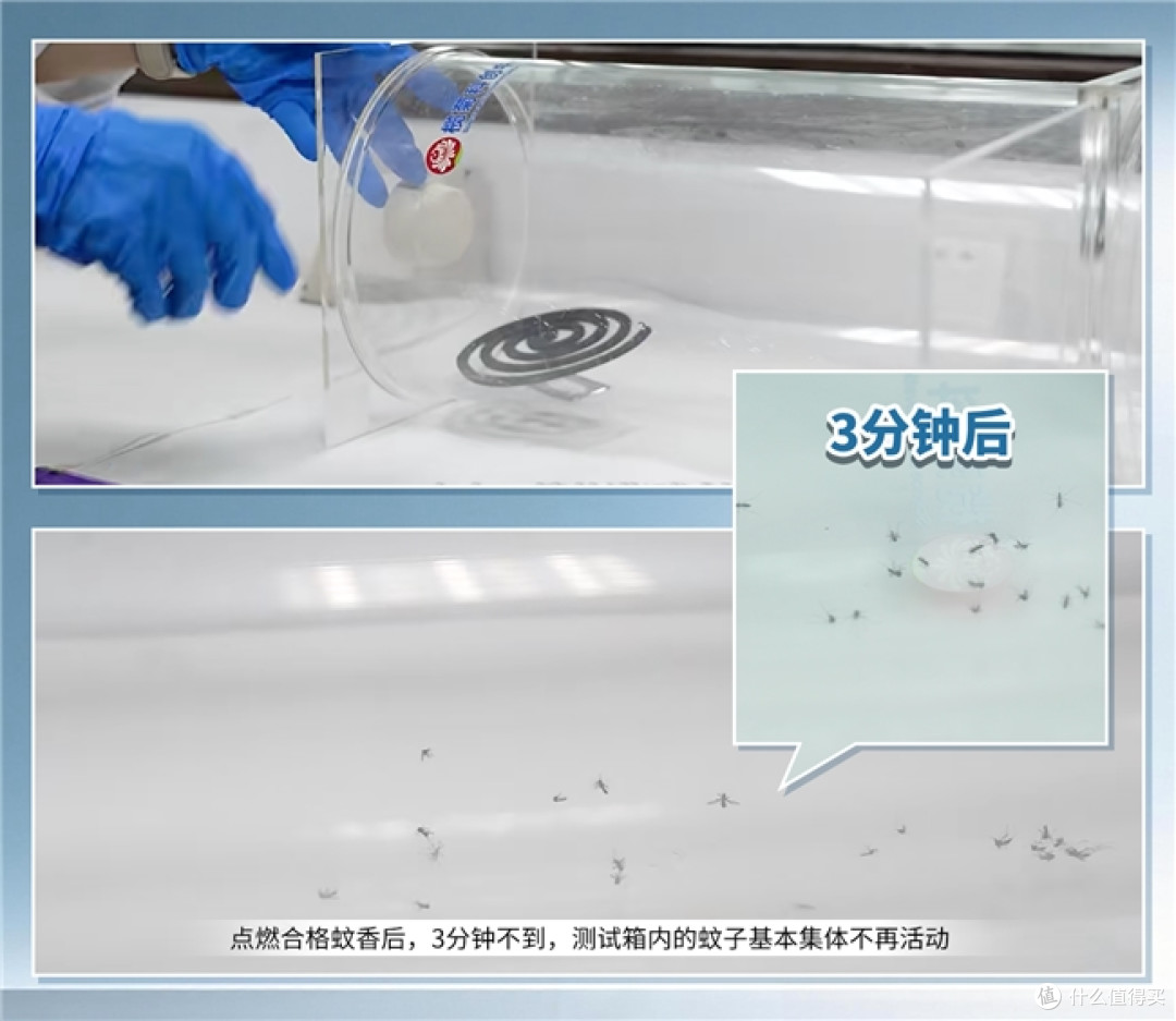 正规蚊香经得起国家认证与多重考验,专家教你这样选