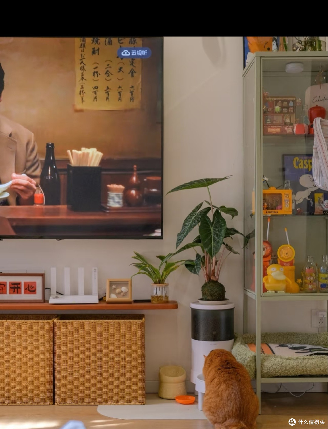 我家猫的生活哲学