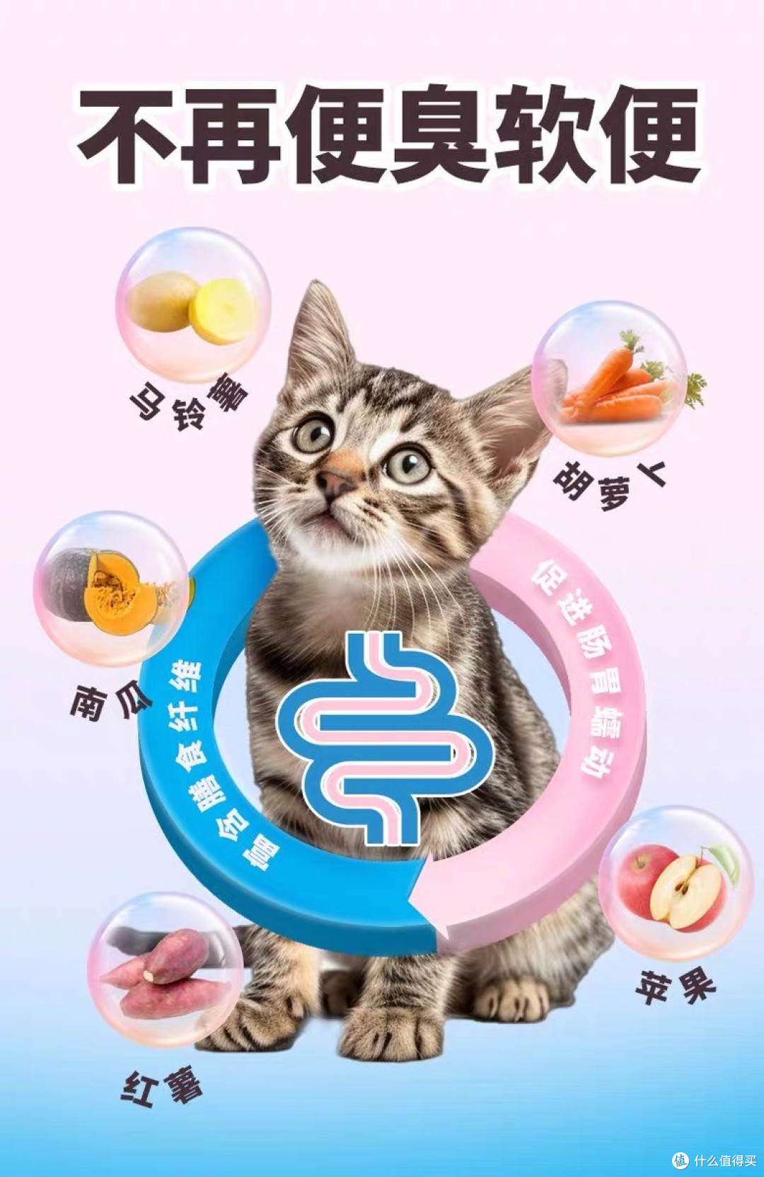 幼猫喂养仪式感,这款幼猫粮撑起主子精致日常