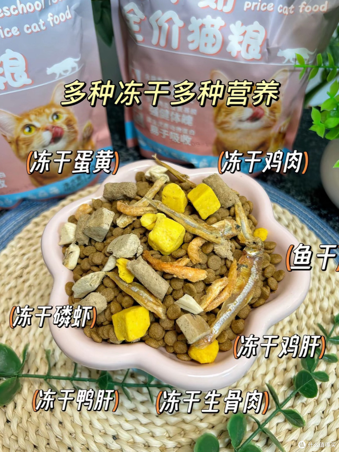 幼猫喂养仪式感,这款幼猫粮撑起主子精致日常