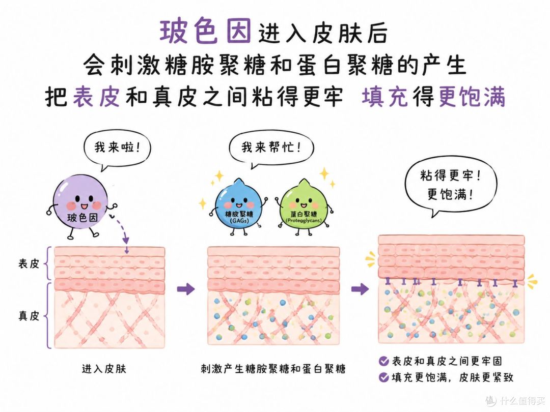 驭己UEEJI丨抗老 4 大巨头对决!热门抗衰成分深度对比