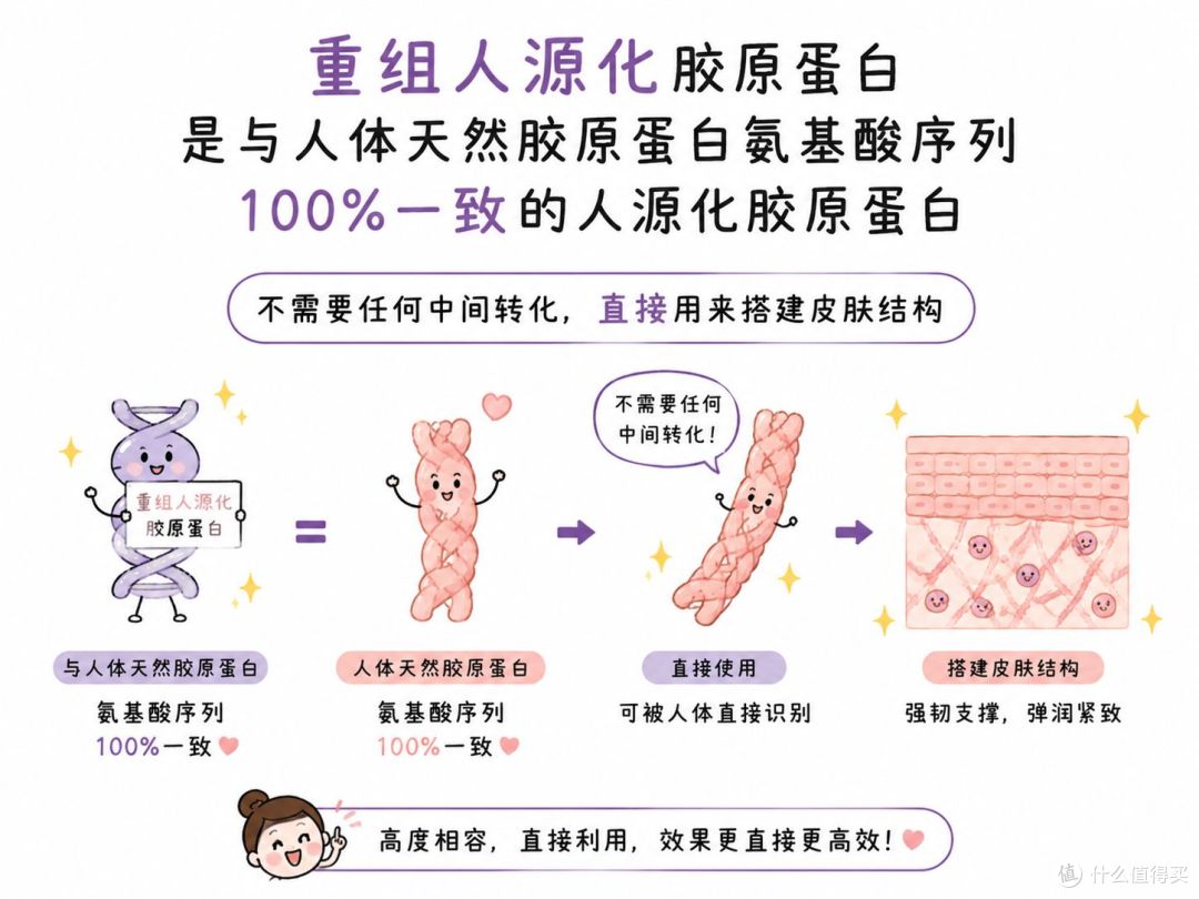 驭己UEEJI丨抗老 4 大巨头对决！热门抗衰成分深度对比