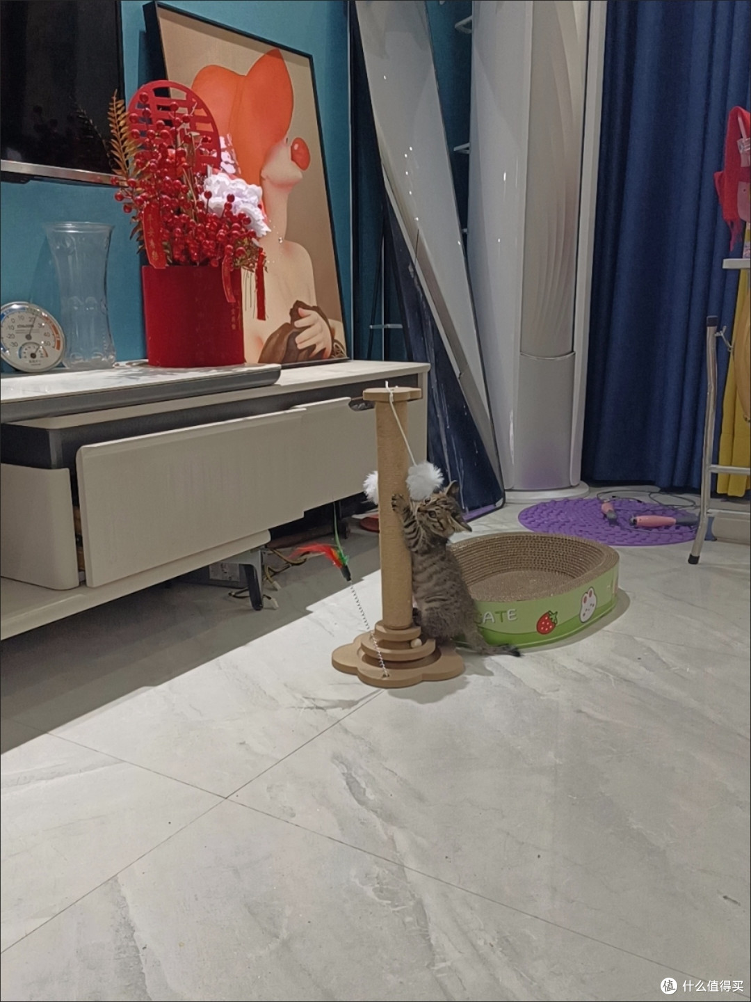 猫主子高要求生活指南:猫玩具+猫爬架精准选购攻略