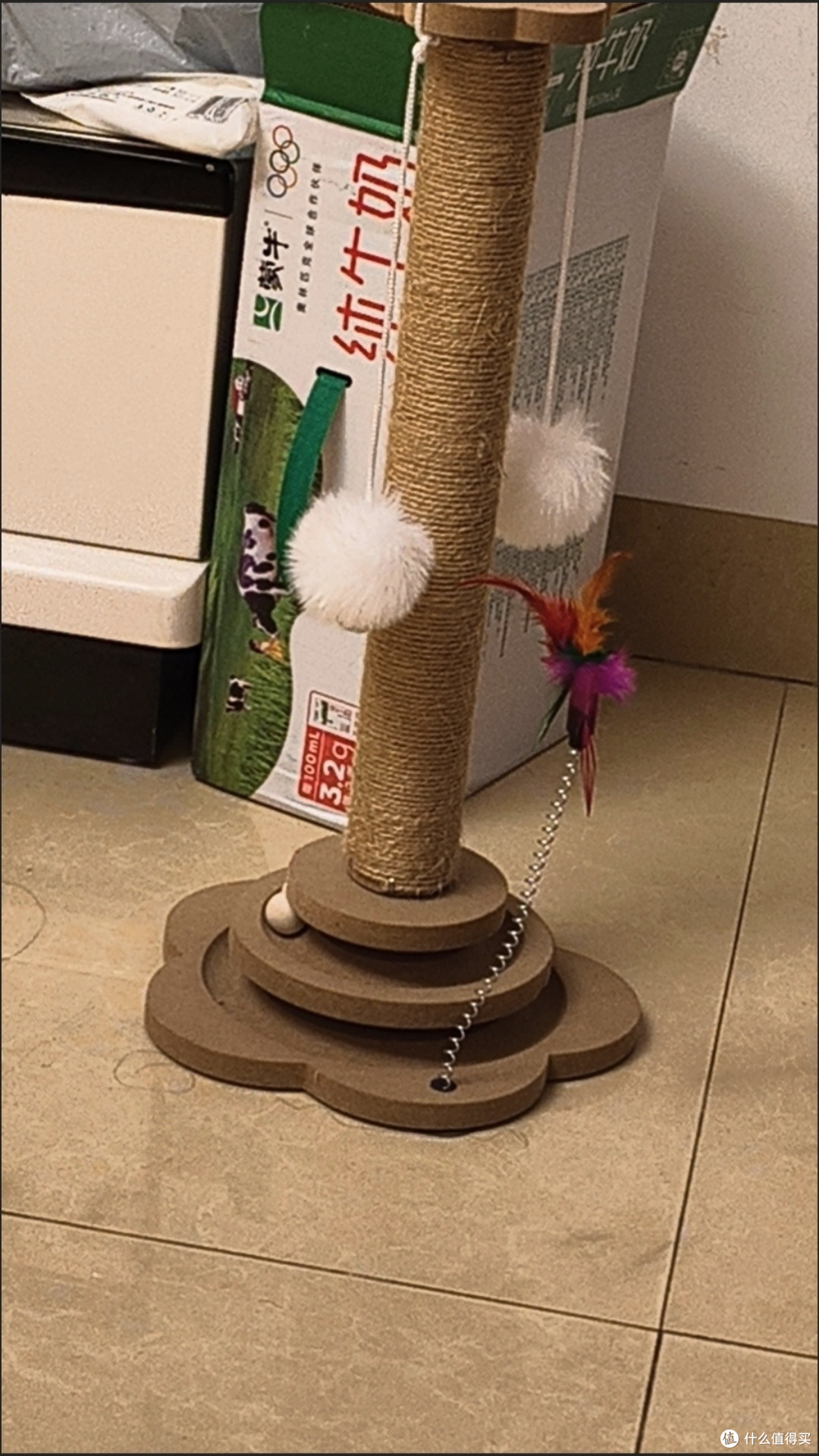 猫主子高要求生活指南:猫玩具+猫爬架精准选购攻略