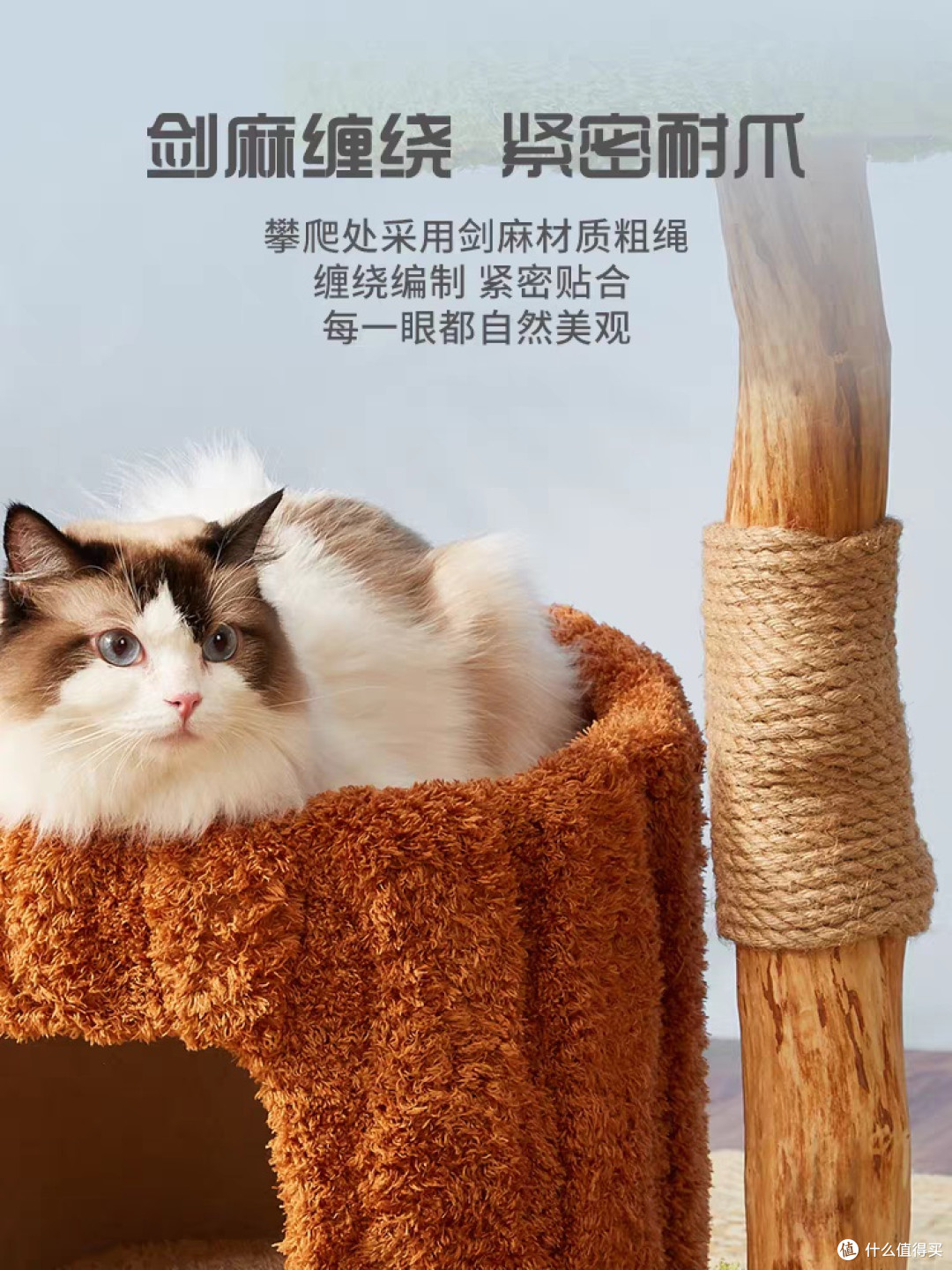 618提升猫咪幸福感的小物件